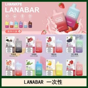 LANA BAR可充电一次性電子煙霧化5000口(3.0%)